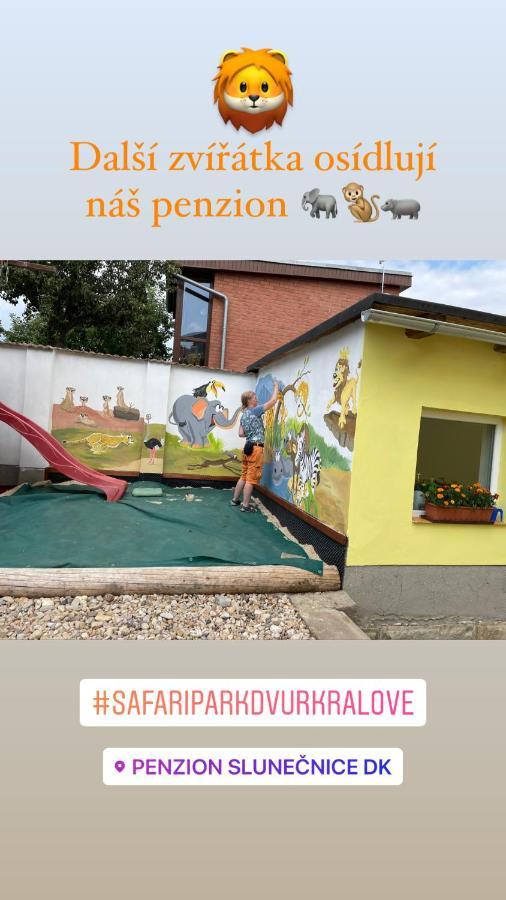 Penzion Slunecnice Dvůr Králové nad Labem Exterior foto